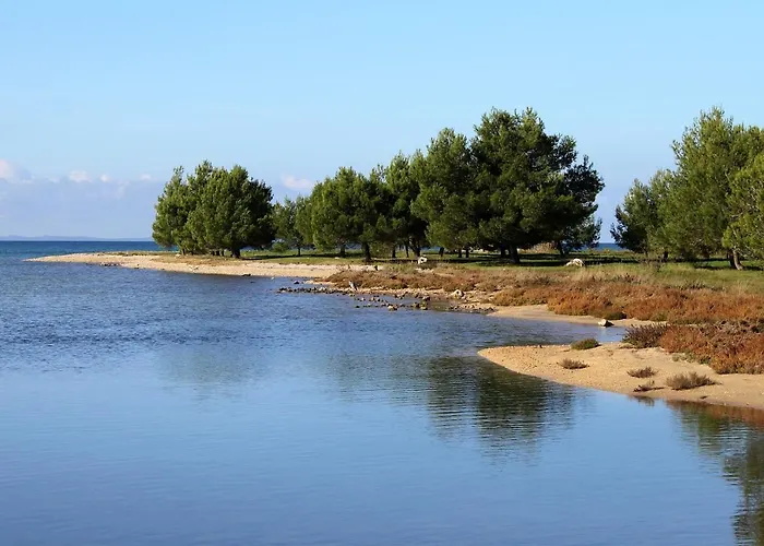 Family Friendly Seaside Zaton, Zadar - 298 Апартаменты Затон